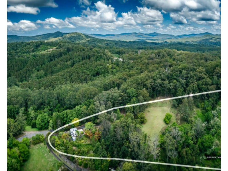 136 Bowraville Road, Bellingen NSW 2454