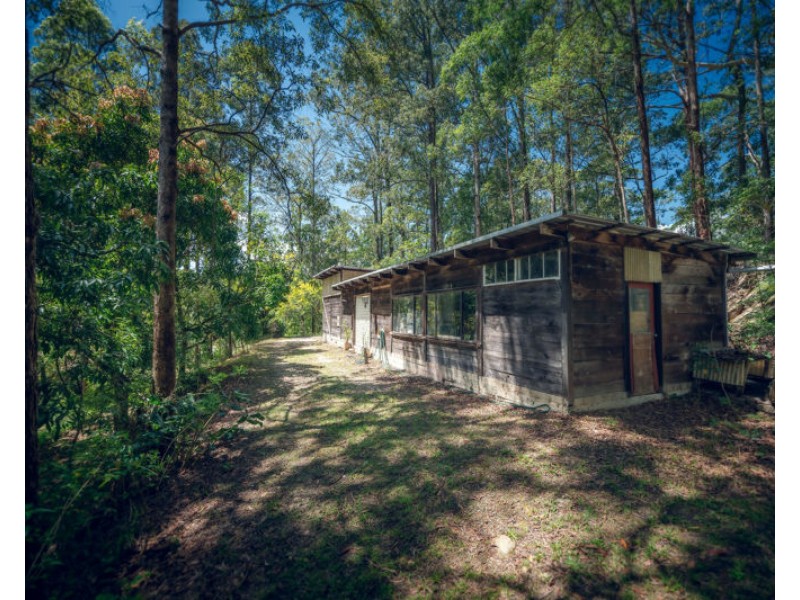 136 Bowraville Road, Bellingen NSW 2454