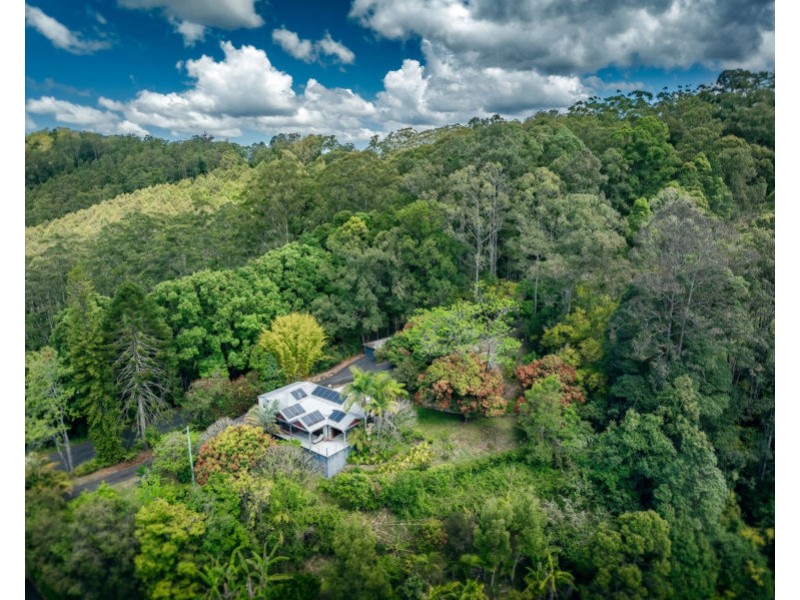 136 Bowraville Road, Bellingen NSW 2454