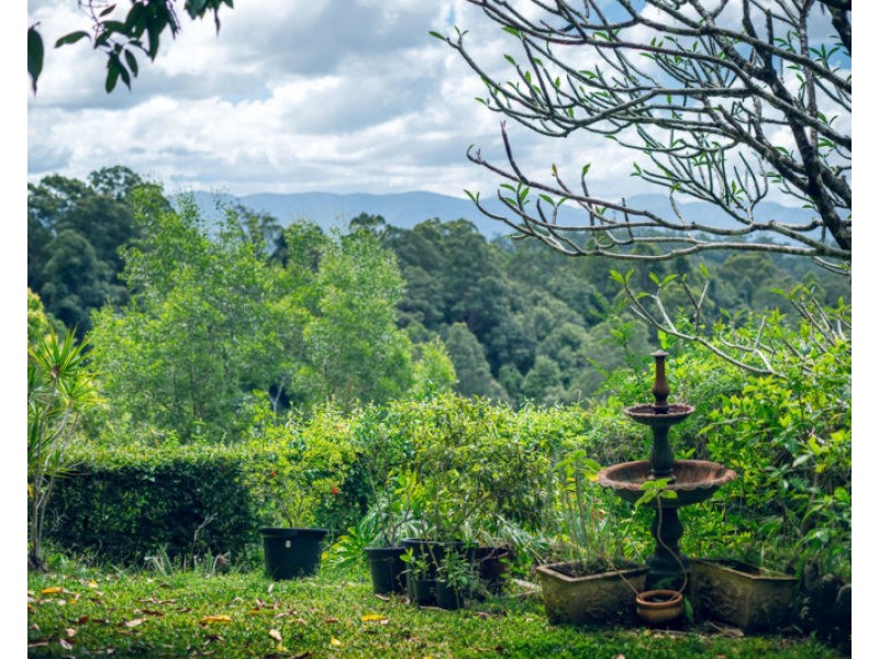 136 Bowraville Road, Bellingen NSW 2454