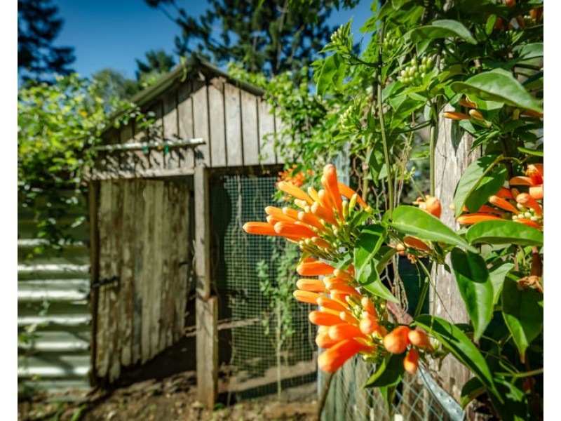 157 Burkes Lane, Valla NSW 2448