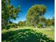 157 Burkes Lane, Valla NSW 2448