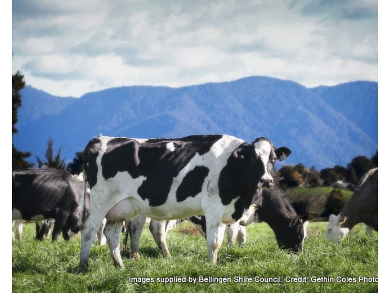 1 Ivory Curl Close, Bellingen NSW 2454