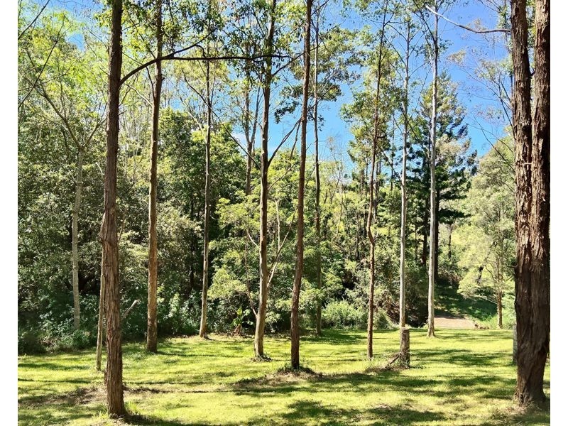 645 Bowraville Road, Bellingen NSW 2454