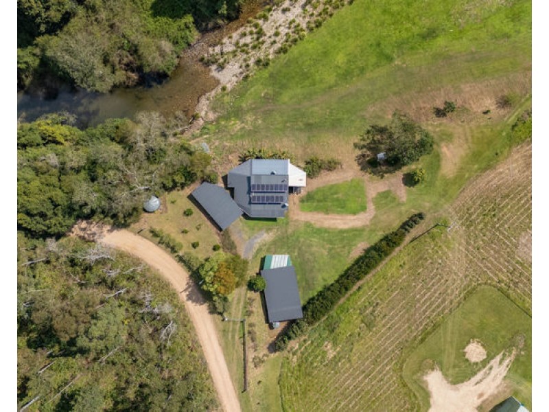 2686 Kalang Rd, Bellingen NSW 2454