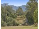 772 Gleniffer Road, Bellingen NSW 2454