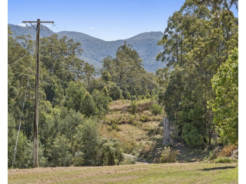 772 Gleniffer Road, Bellingen NSW 2454