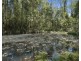 772 Gleniffer Road, Bellingen NSW 2454