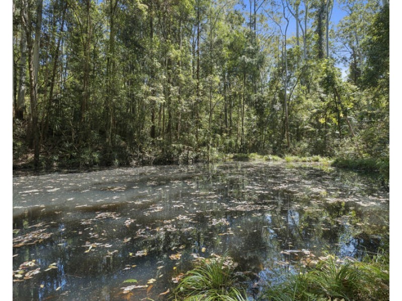 772 Gleniffer Road, Bellingen NSW 2454