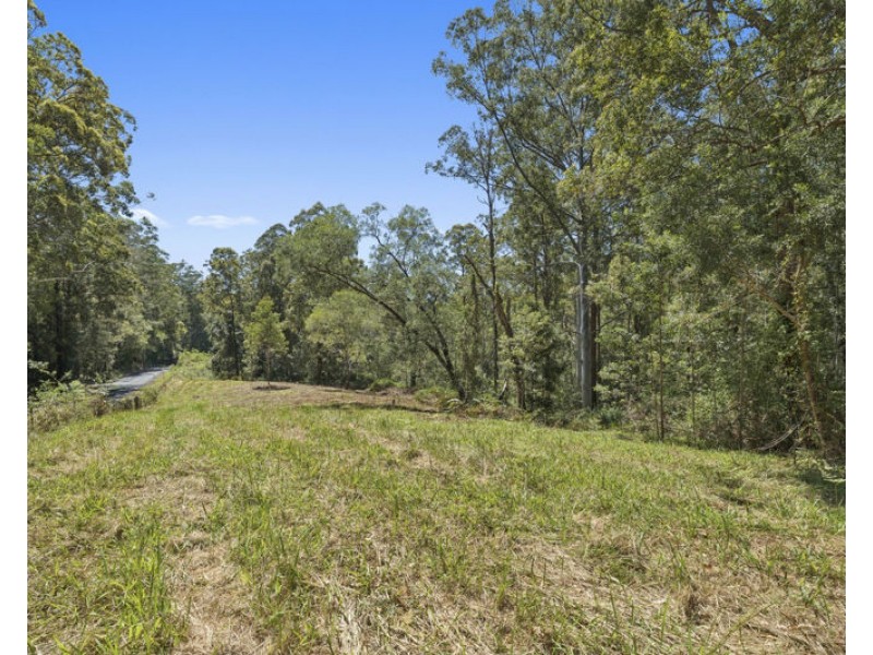 772 Gleniffer Road, Bellingen NSW 2454