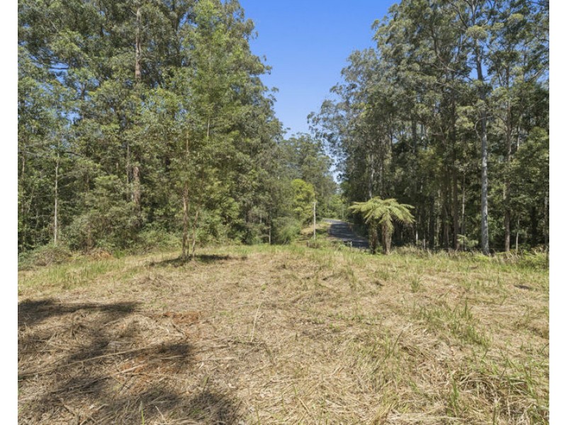 772 Gleniffer Road, Bellingen NSW 2454