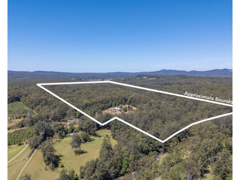 772 Gleniffer Road, Bellingen NSW 2454
