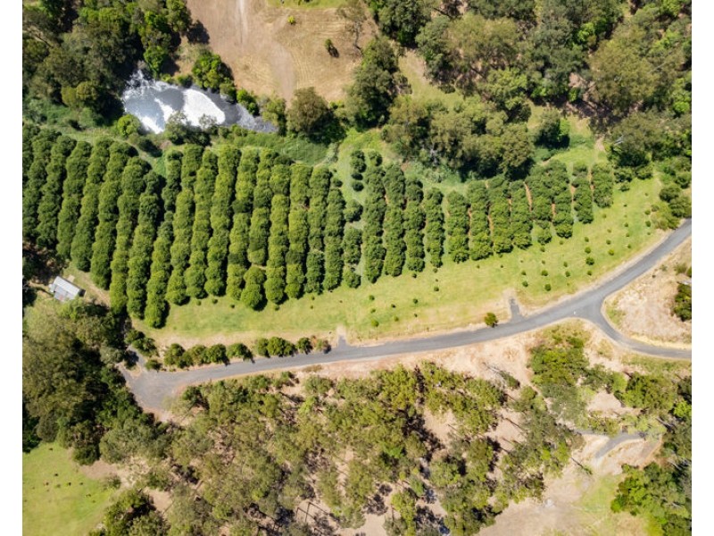 Lot 11, 12, 13 & 14 Highfield Road, Valla NSW 2448