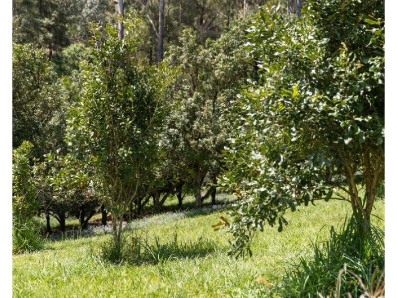 Lot 11, 12, 13 & 14 Highfield Road, Valla NSW 2448