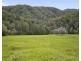 1314 Darkwood Road, Bellingen NSW 2454