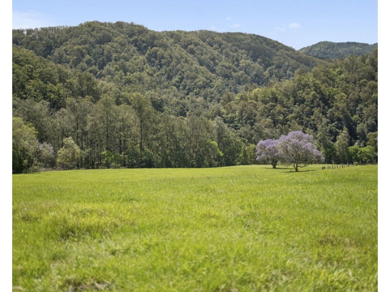 1314 Darkwood Road, Bellingen NSW 2454