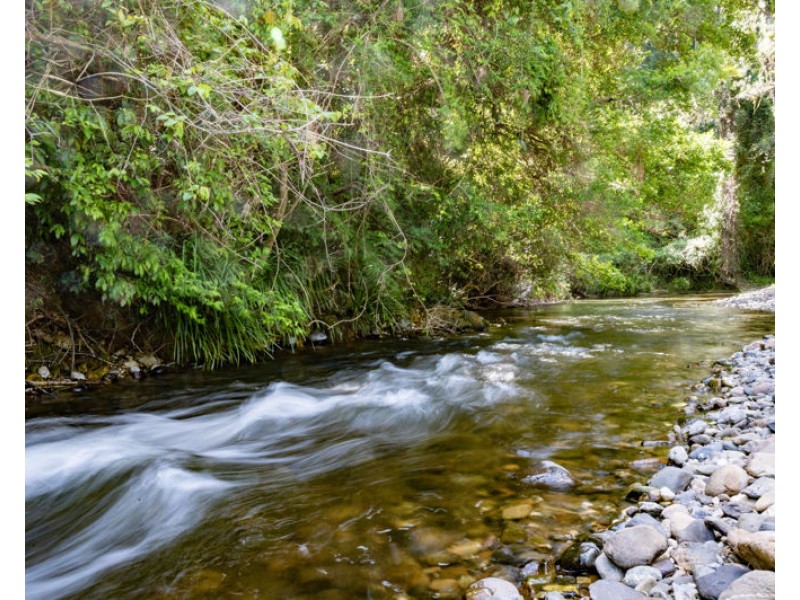 1314 Darkwood Road, Bellingen NSW 2454