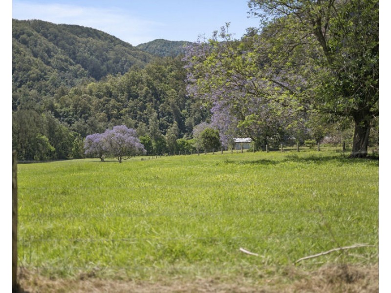 1314 Darkwood Road, Bellingen NSW 2454