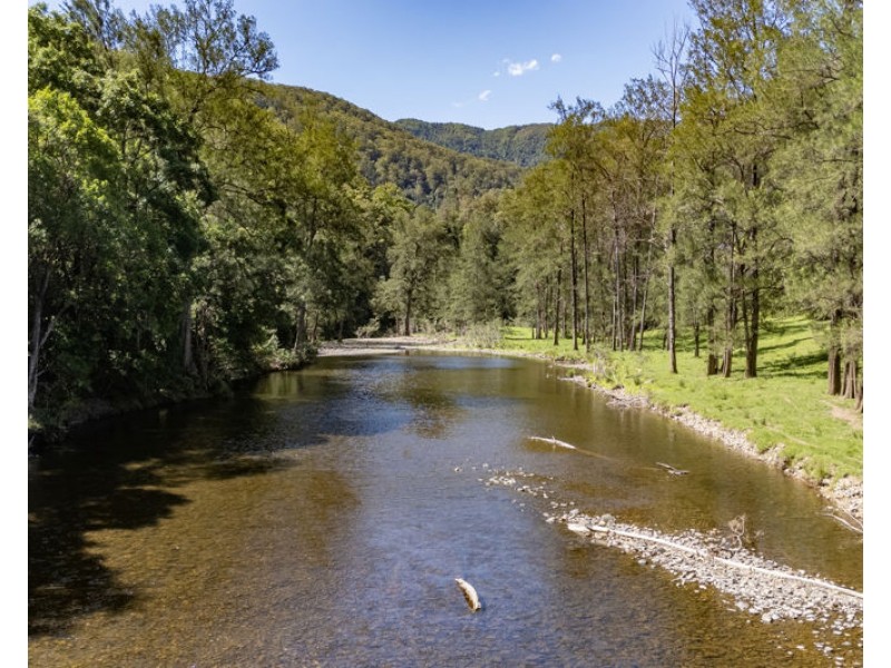 1314 Darkwood Road, Bellingen NSW 2454