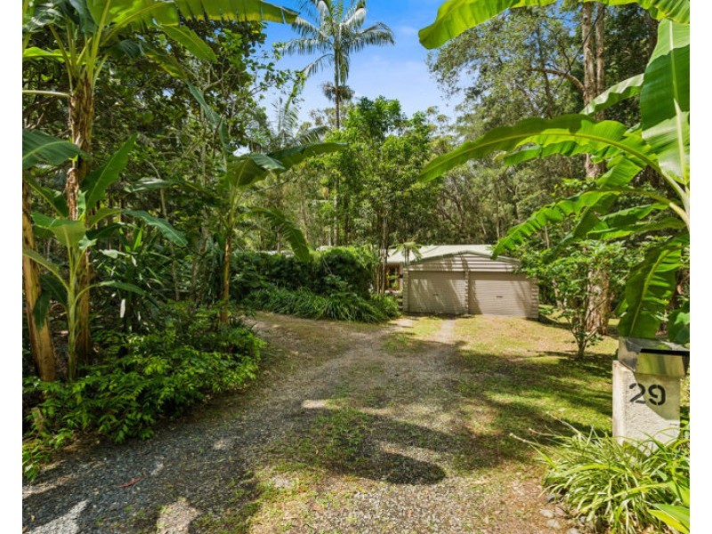 29 Tree Fern Close, Repton NSW 2454