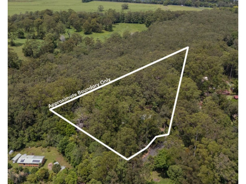 29 Tree Fern Close, Repton NSW 2454