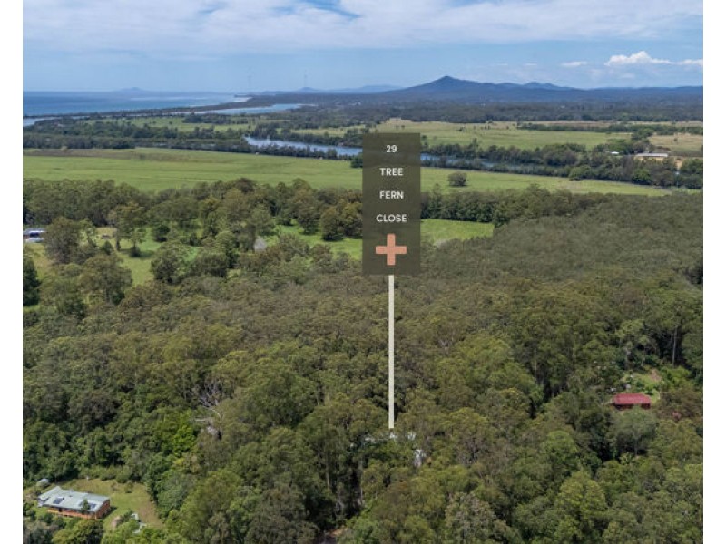 29 Tree Fern Close, Repton NSW 2454