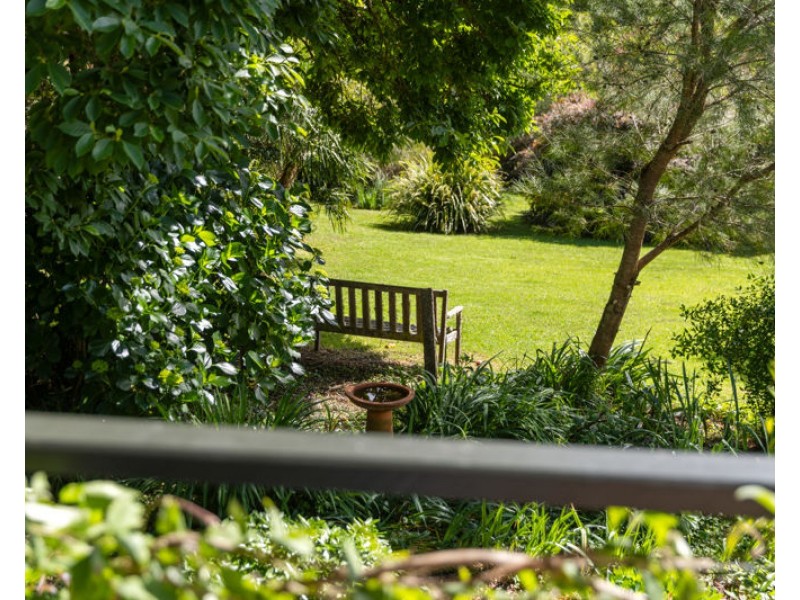 10 Oak St, Dorrigo NSW 2453