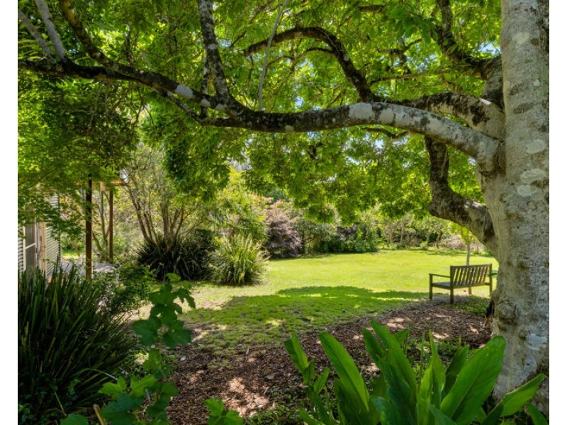 10 Oak St, Dorrigo NSW 2453