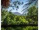 4 Melia Place, Bellingen NSW 2454
