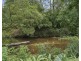 1596 Kalang Road, Bellingen NSW 2454