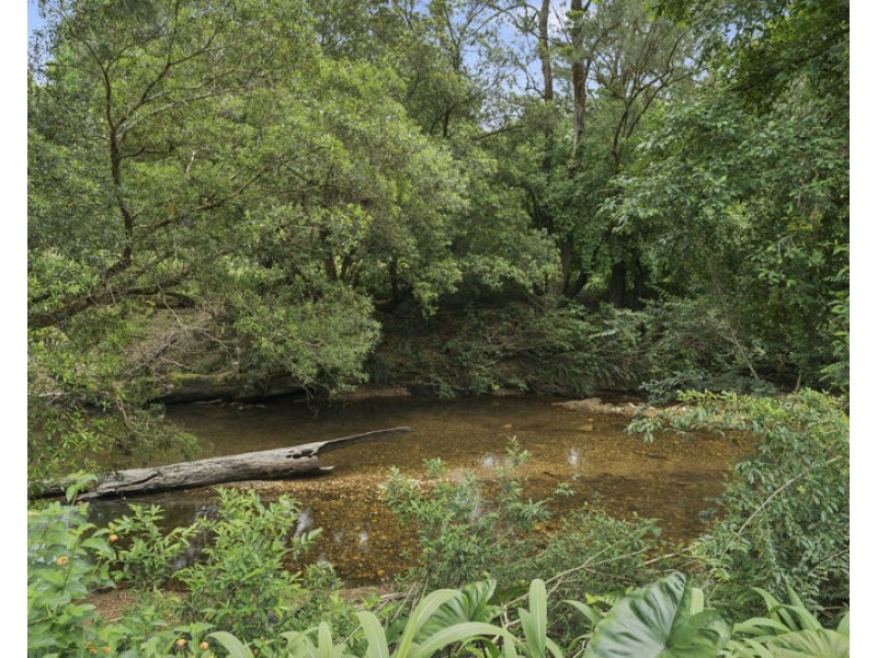 1596 Kalang Road, Bellingen NSW 2454