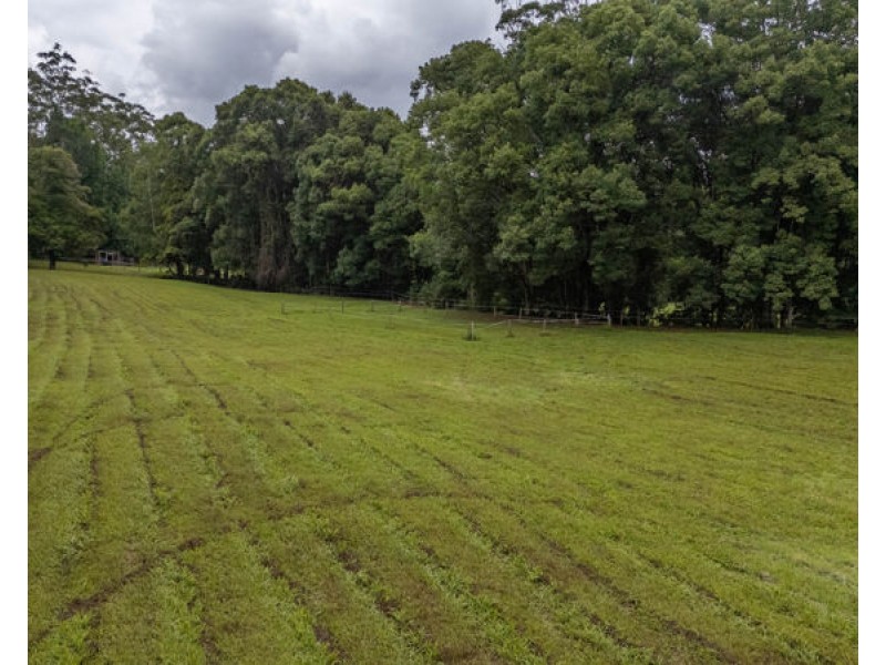 1596 Kalang Road, Bellingen NSW 2454