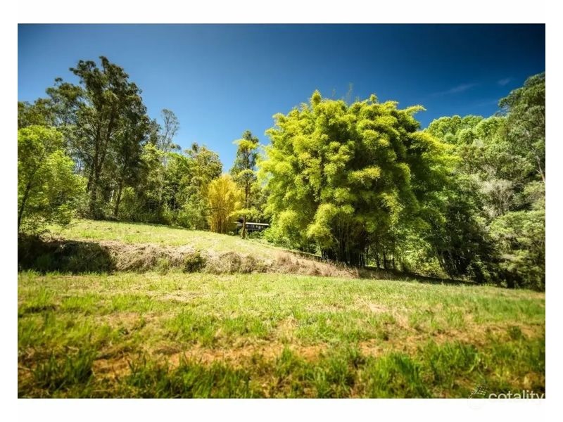 140 Kalang Road, Bellingen NSW 2454