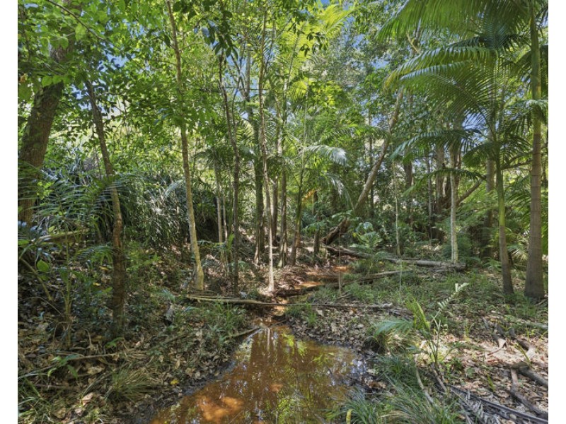 2A Evans Street, Bellingen NSW 2454