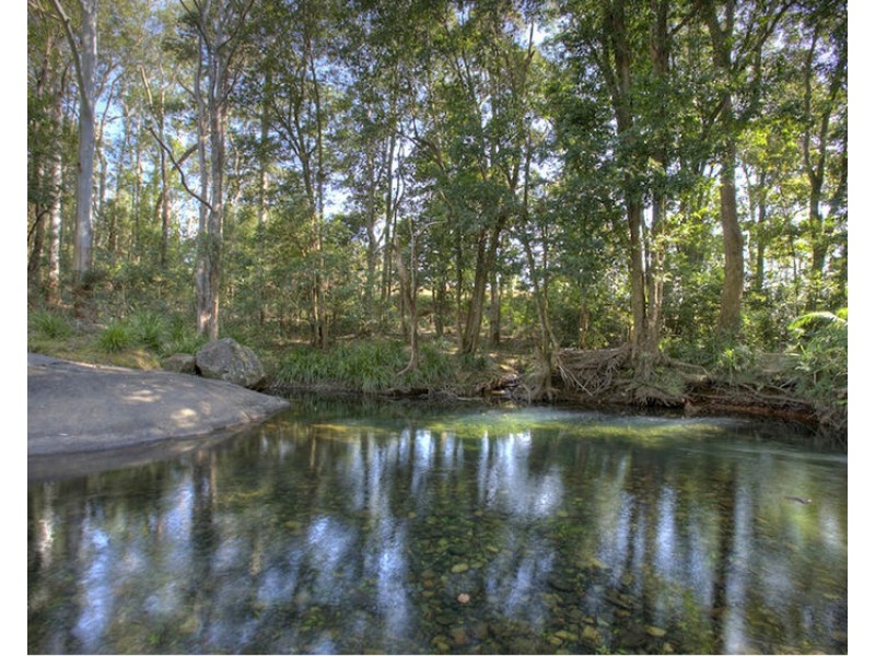 724 Timboon Road, Bellingen NSW 2454