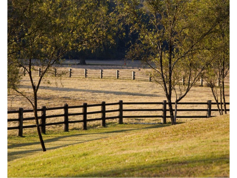 724 Timboon Road, Bellingen NSW 2454