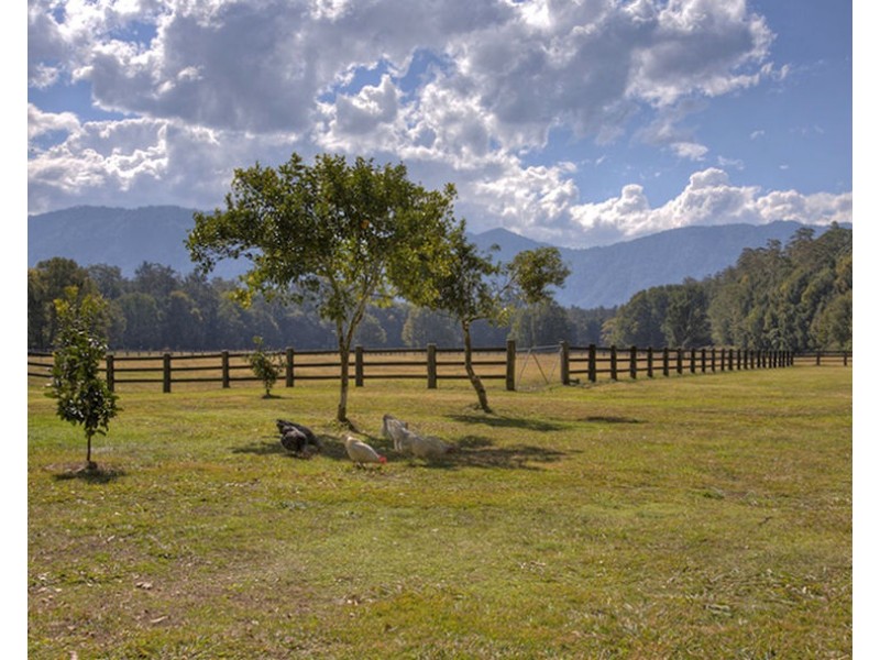 724 Timboon Road, Bellingen NSW 2454