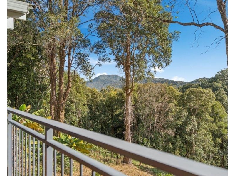 402 Bowraville Road, Bellingen NSW 2454