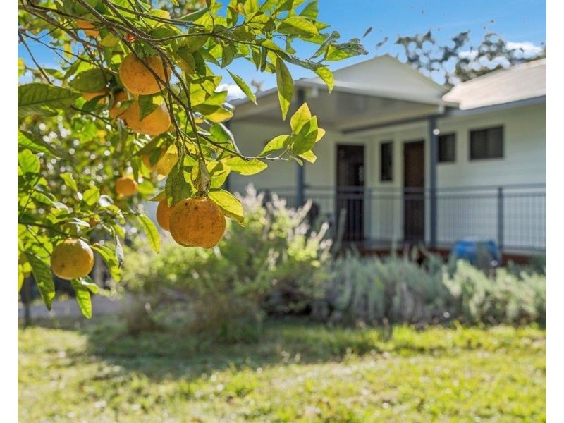 402 Bowraville Road, Bellingen NSW 2454