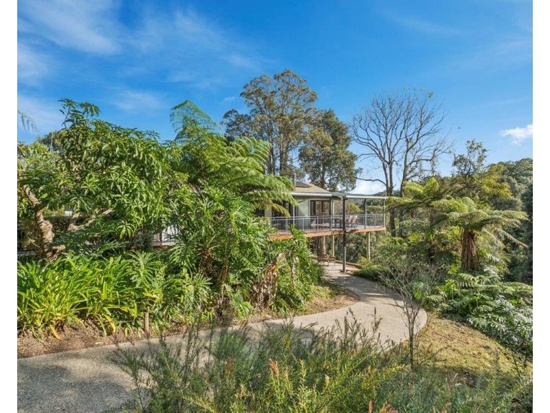 402 Bowraville Road, Bellingen NSW 2454