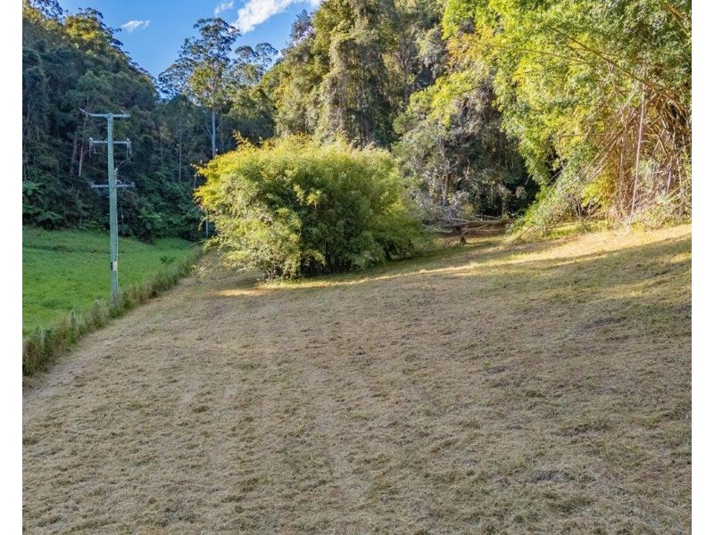 402 Bowraville Road, Bellingen NSW 2454