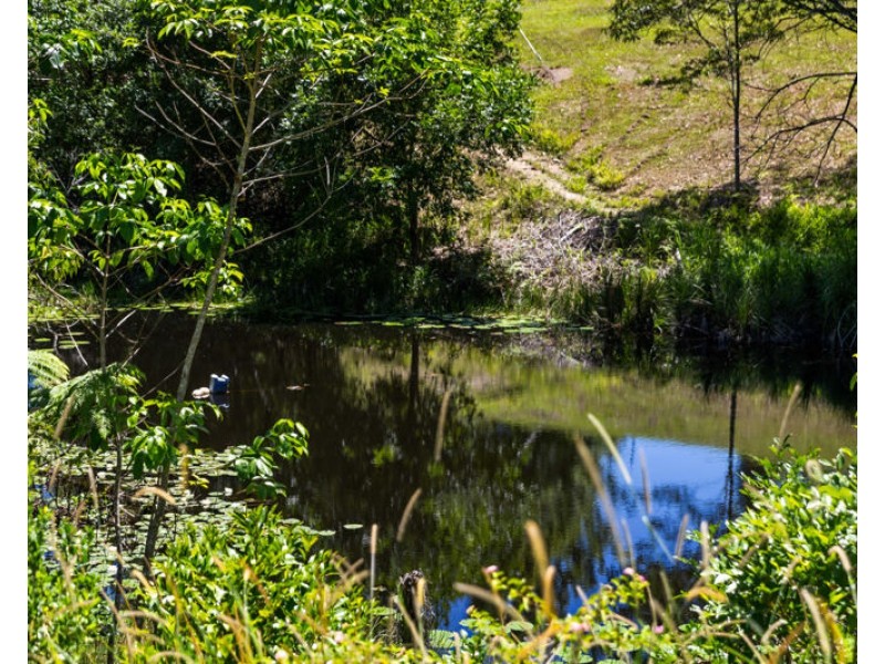 55 McDougall Place, Bellingen NSW 2454