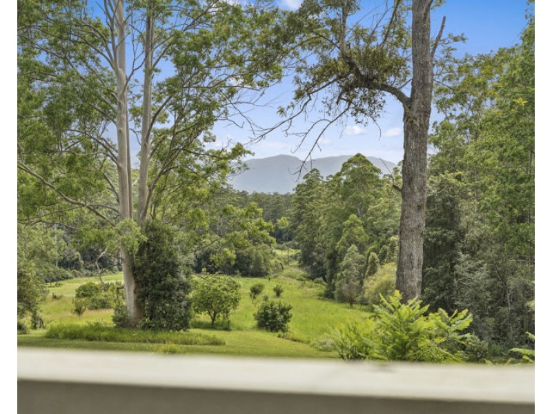 121 Boggy Creek Road, Bellingen NSW 2454