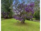 14 Church Street, Bellingen NSW 2454
