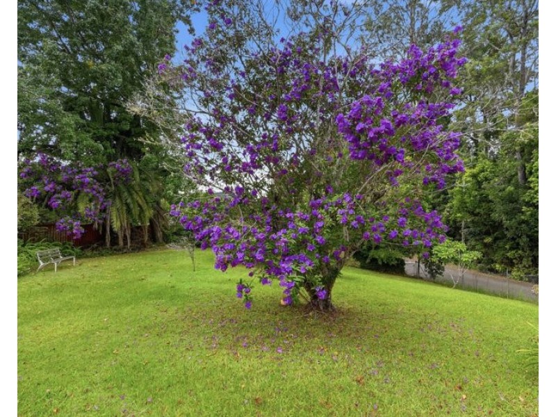 14 Church Street, Bellingen NSW 2454