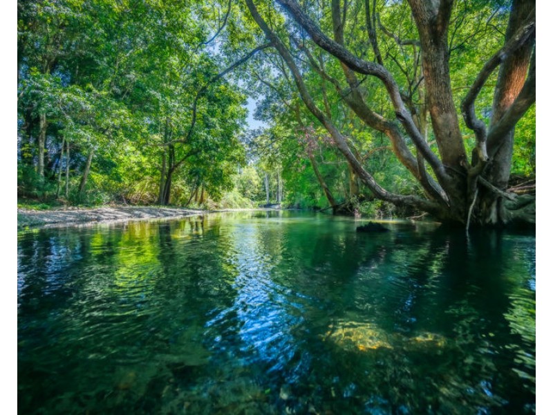 69 Gordonville Road, Bellingen NSW 2454