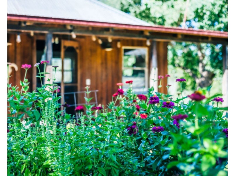 69 Gordonville Road, Bellingen NSW 2454