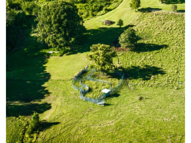 69 Gordonville Road, Bellingen NSW 2454