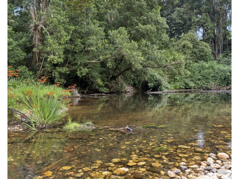 1622 Kalang Road, Bellingen NSW 2454