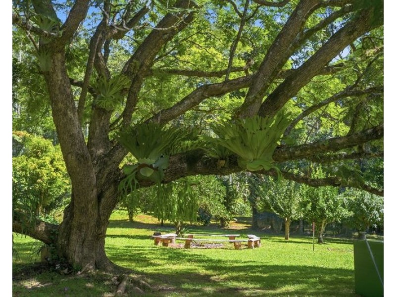 606 Darkwood Road, Bellingen NSW 2454